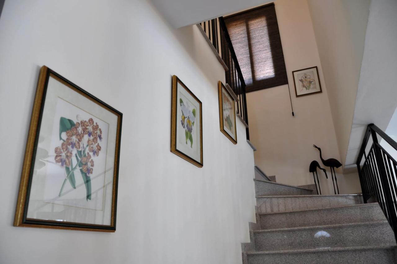 Villa Zefyros Νέο Χωριό Εξωτερικό φωτογραφία
